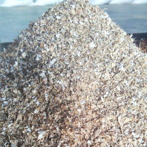 Kulit Kacang