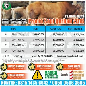 jual-sapi-jakarta