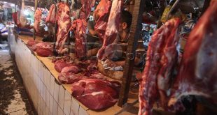 Ini Penyebab Harga Daging Sapi Mahal di Indonesia