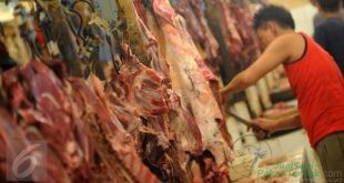 Harga Daging Sapi Bali Bakal Setara dengan Wagyu Asal Jepang