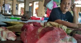 Siaga Antraks di Yogyakarta, Warga Tetap Beli Daging Sapi