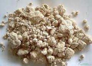 Jual Gamblong kering