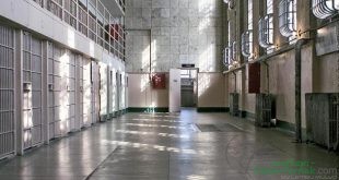 LP Nusa Kambangan bakal disulap jadi sentra produksi sapi