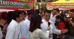 mentan-amran-siapkan-rp-100-m-kembangkan-sapi-berotot-tahun-depan