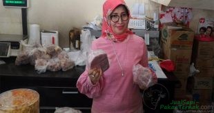 Suri Nusantara Jaya Produksi 11.500 Ton Daging per Tahun