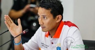Jaminan Sandiaga untuk Daging Murah dan Harapan pada PD Dharma Jaya