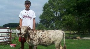 Seukuran Anjing, Spesies Sapi Baru Ini Bisa Jadi Hewan Peliharaan