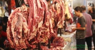 Harga Daging Sapi Lokal Mahal Akibat Rantai Distribusi Panjang