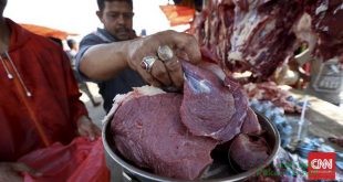 Demi Harga Terjangkau, Pemerintah Kaji Impor Daging Sapi