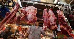 Harga Daging Sapi Melonjak, Pemerintah Kaji Kebijakan Impor