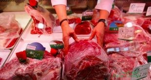 Impor Daging Sapi asal Brasil, Bagaimana Kualitasnya?