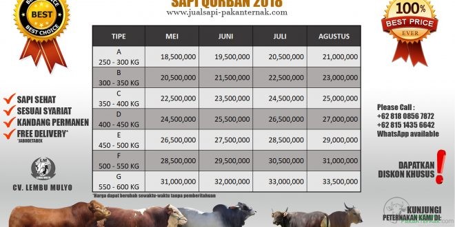 Sapi Price Promo Harga Sapi Qurban 2018 - Jual Sapi Limosin, Simental, Qurban 2020 ...