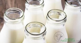 Peternak Keluhkan Rendahnya Harga Jual Susu Dalam Negeri