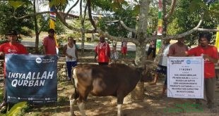 PKPU HI Potong 225 Sapi di Wilayah Terdampak Gempa Lombok