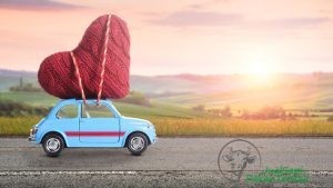 Unik, Pria di Skotlandia Lamar Kekasih dengan Bantuan Sapi