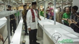 Anies Ingin Tingkat Konsumsi Daging Sapi di Jakarta Ditingkatkan