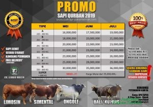 PRICELIST PROMO SAPI QURBAN 2019 Jakarta
