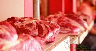 Stok Daging Sapi di Jatim Melimpah Selama Ramadhan hingga Lebaran