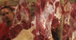 Usai Lebaran 2019 Penjualan Daging Sapi Mulai Turun