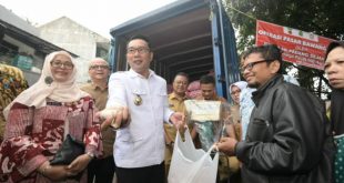 Ridwan Kamil Sebut Jabar Krisis Daging Sapi