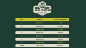 Harga Sapi Qurban 2025