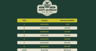 Harga Sapi Qurban 2025