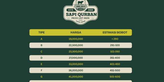 Harga Sapi Qurban 2025