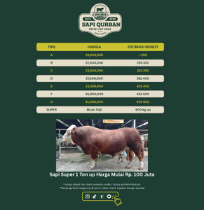 Harga Sapi Qurban 2025